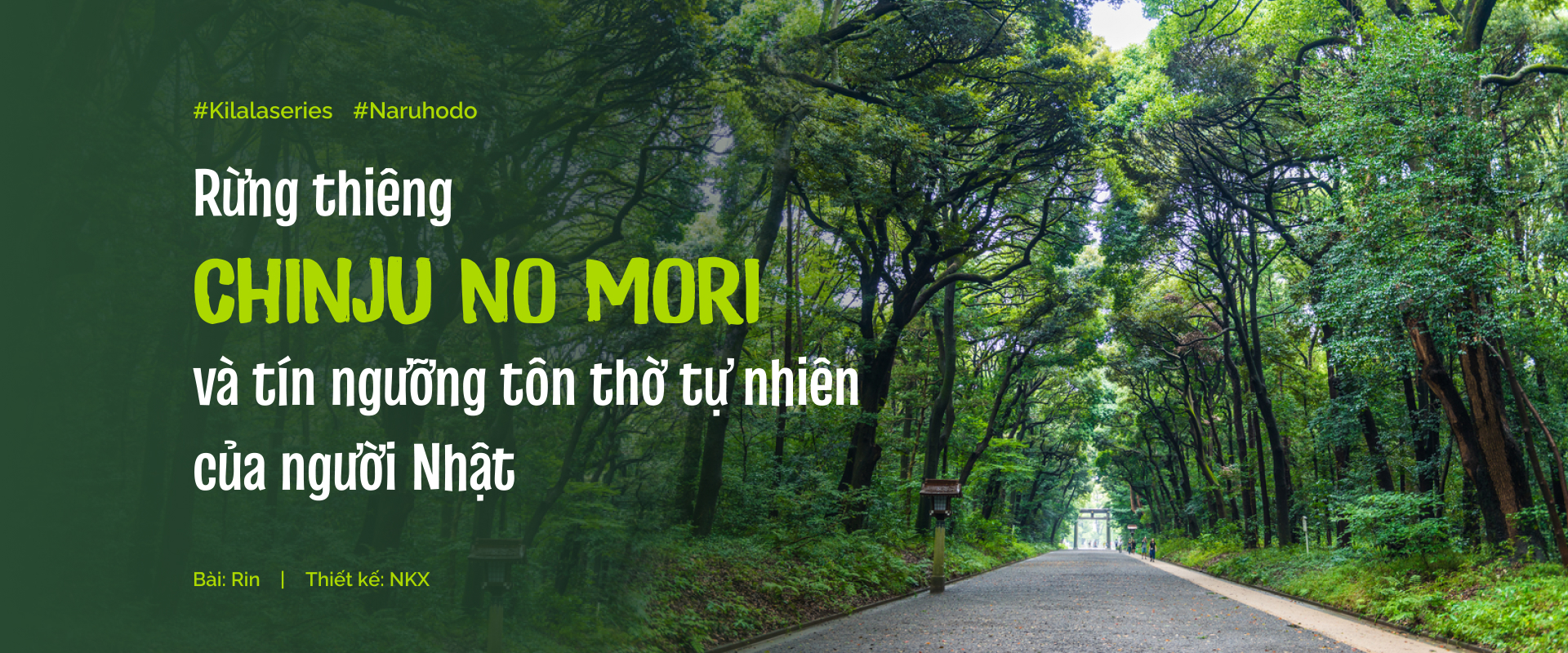 Rừng thiêng Chinju no Mori và tín ngưỡng tôn thờ tự nhiên của người Nhật