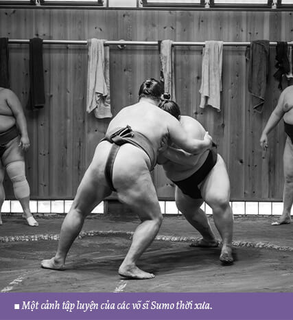 Một cảnh tập luyện của các võ sĩ Sumo thời xưa.