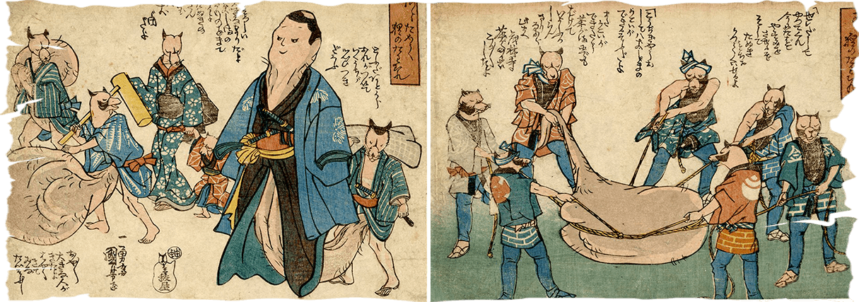 Tanuki hoá thân thành võ sĩ Sumo, vẽ bởi hoạ sĩ Kuniyoshi Utagawa. Ảnh: @EgenolfGallery