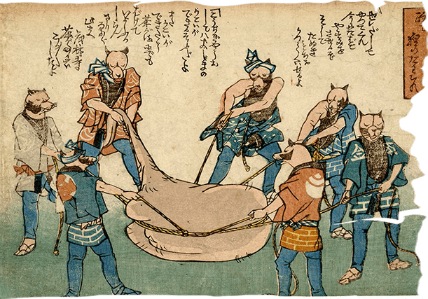 Tanuki hoá thân thành võ sĩ Sumo, vẽ bởi hoạ sĩ Kuniyoshi Utagawa. Ảnh: @EgenolfGallery