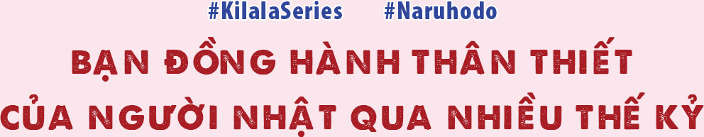 Mộc thụ táng khi nhười nhật chọn yên nghỉ bên dưới những gốc cây Mộc thụ táng khi nhười nhật chọn yên nghỉ bên dưới những gốc cây