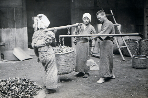 Nông dân Nhật mang Jika-tabi vào năm 1912. Nông dân Nhật mang Jika-tabi vào năm 1912.