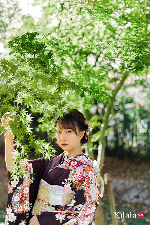 Địa chỉ: Kawanehon, quận Haibara, tỉnh Shizuoka