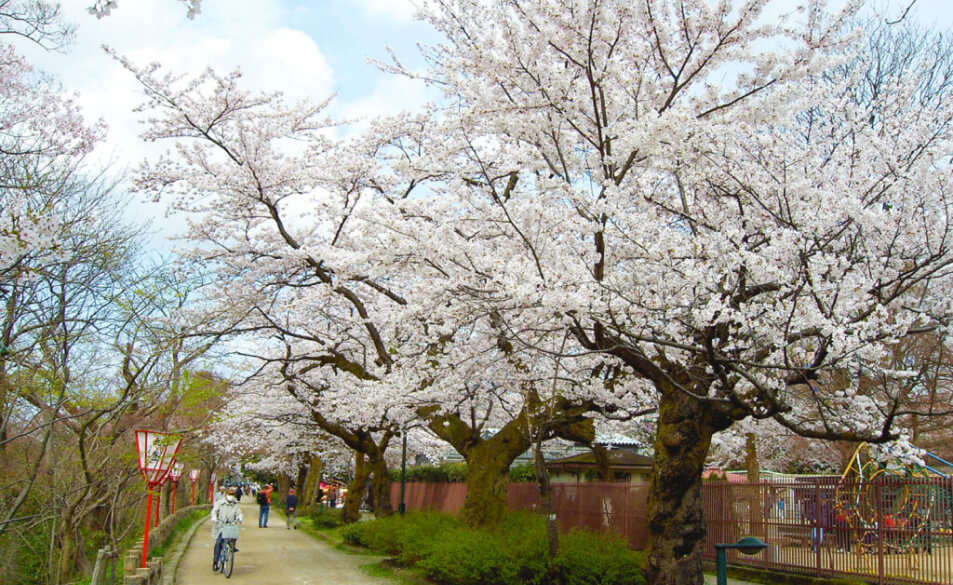 Một ngày xuân ở Takaoka.