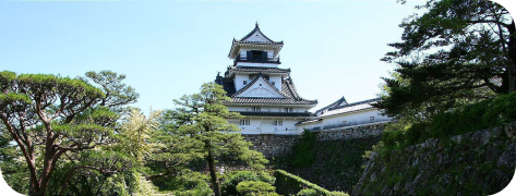 Lâu đài Kochi