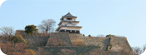 Lâu đài Marugame