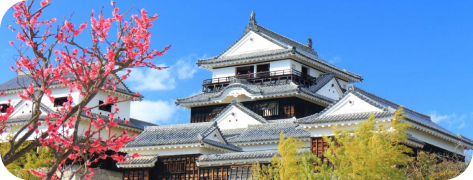 Lâu đài Matsuyama (Iyo)