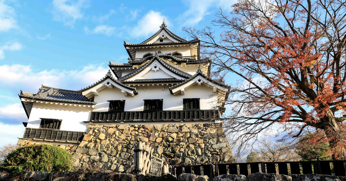 Tenshukaku của Lâu đài Hikone vẫn còn tồn tại đến ngày nay, nơi đây cũng là một trong số năm tòa thành được chỉ định là Bảo vật quốc gia