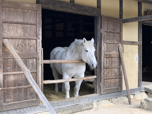 Ngôi làng cổ xưa Tono Furusato.