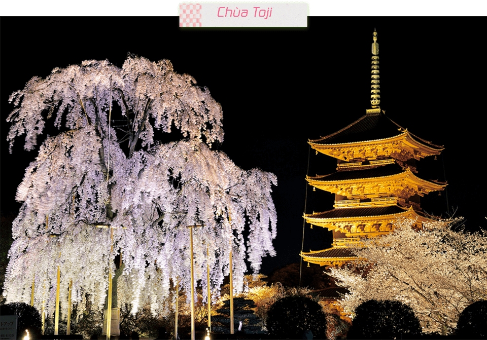 Chùa Toji