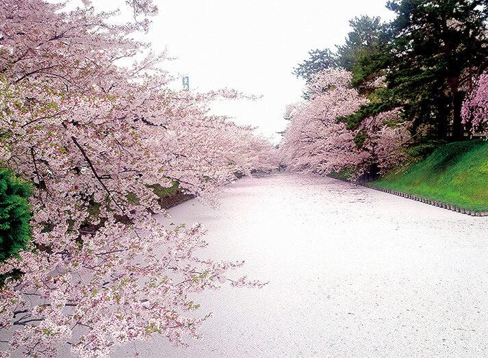 Tường Thành Quanh Thành Hirosaki