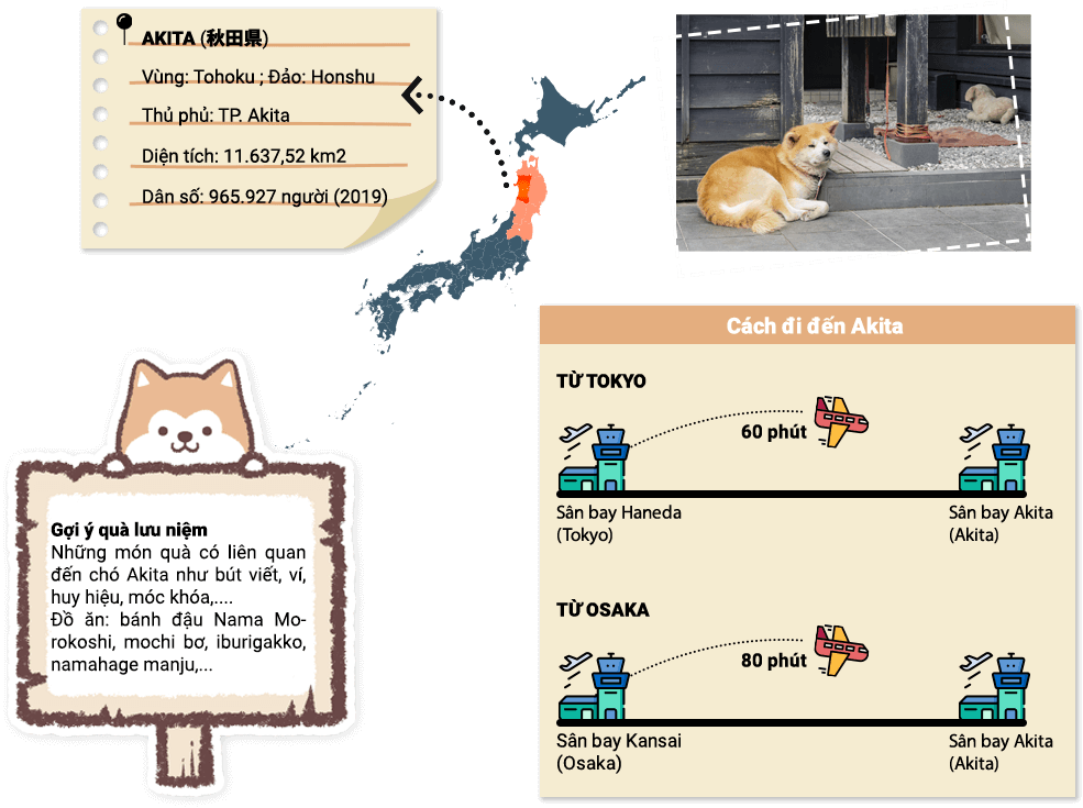 cách đi đến Akita cách đi đến Akita
