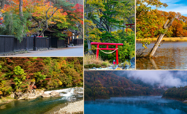 Cảnh sắc nên thơ như bước ra từ những khung tranh