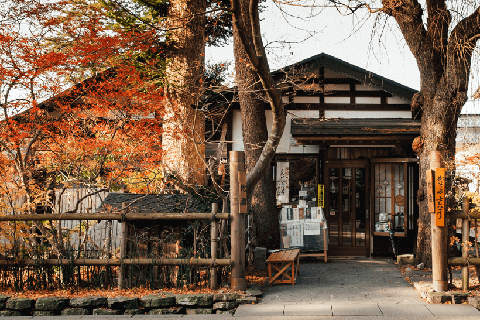 Cảnh sắc nên thơ như bước ra từ những khung tranh