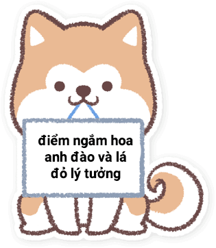 Điểm ngắm hoa anh đào và lá đỏ lý tưởng