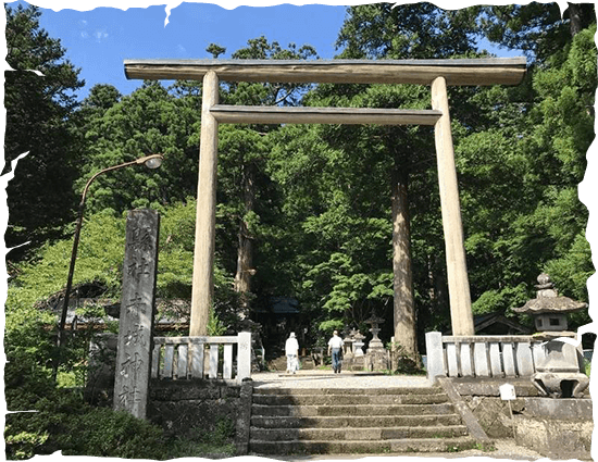 Đền Akagi được phủ kín bởi những cây thông khổng lồ. Ảnh: omairi.club