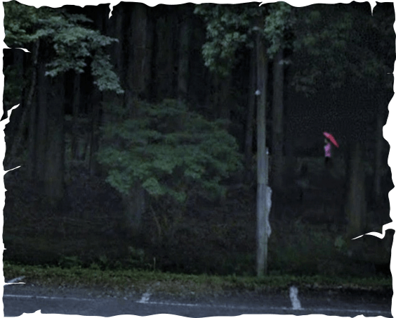 Bà Noriko được nhìn thấy lần cuối ở nơi cách xa lối vào đền Akagi, cầm chiếc ô màu đỏ và mặc áo sơ mi hồng. Ảnh: ameblo.jp
