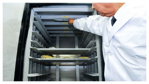 >Hệ thống CAS được gắn trong tủ cấp đông. Ảnh: Nippon