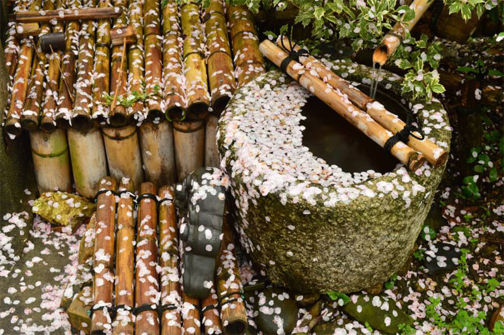 Thiền (Zen) giữ vai trò nền tảng trong văn hóa Nhật Bản.