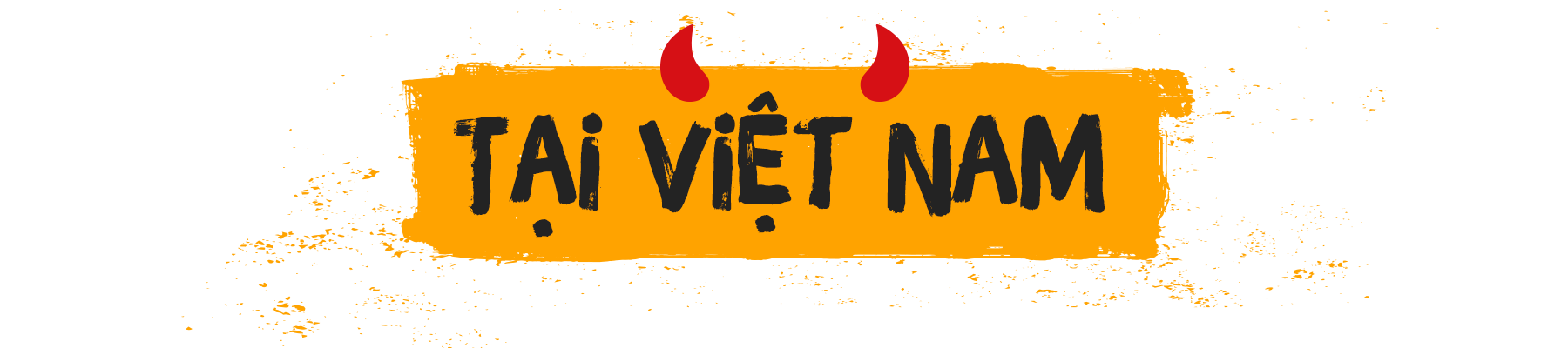 Tại Việt Nam