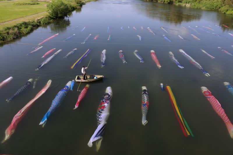 cờ cá chép cờ cá chép