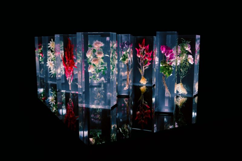 Timeless Flower Timeless Flower