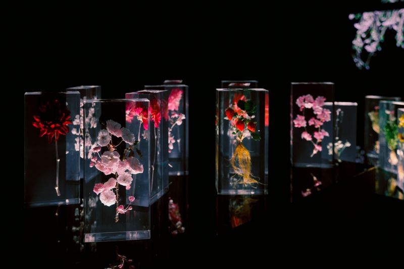 triển lãm azuma makoto triển lãm azuma makoto