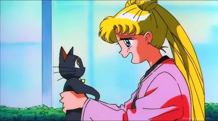 Sailor Moon Cosmos - Usagi và Luna