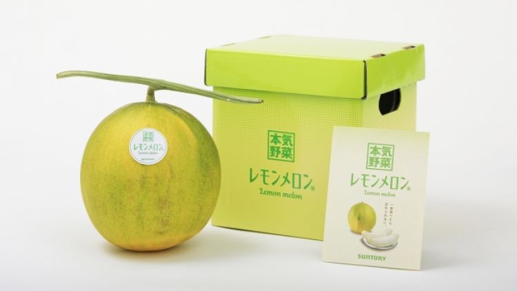 “Dưa chanh” – giống trái cây mới đến từ Hokkaido