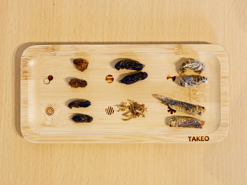 Sashimi tằm, cà ri dế đang được ưa chuộng tại Nhật
