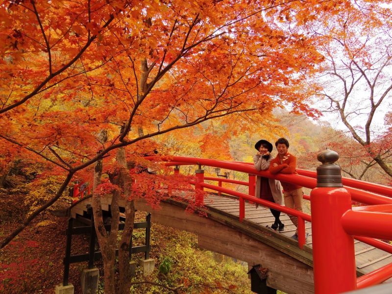 Lịch ngắm lá đỏ năm 2023 và những điểm đến mùa thu đẹp nhất tại Nhật Bản