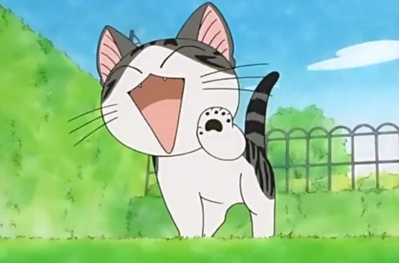 Tiếng mèo kêu trong tiếng Nhật.