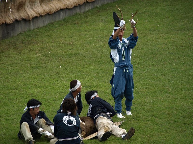 gạc hươu gạc hươu