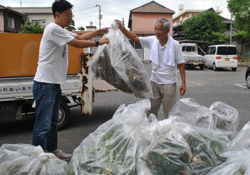 Thu thập hoa hồng