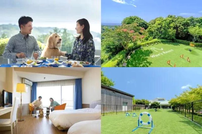 Gói du lịch dành cho du khách đến Izu cùng chó cưng.