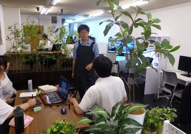  Môi trường làm việc với nhiều cây xanh trong văn phòng.