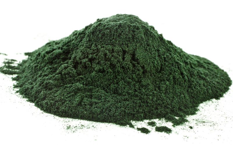 tảo chlorella