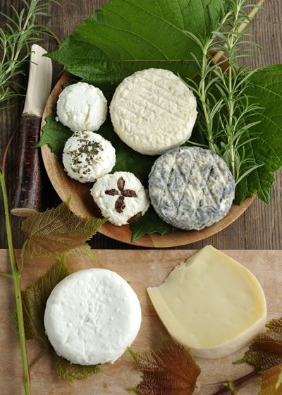 チーズ作り チーズ作り