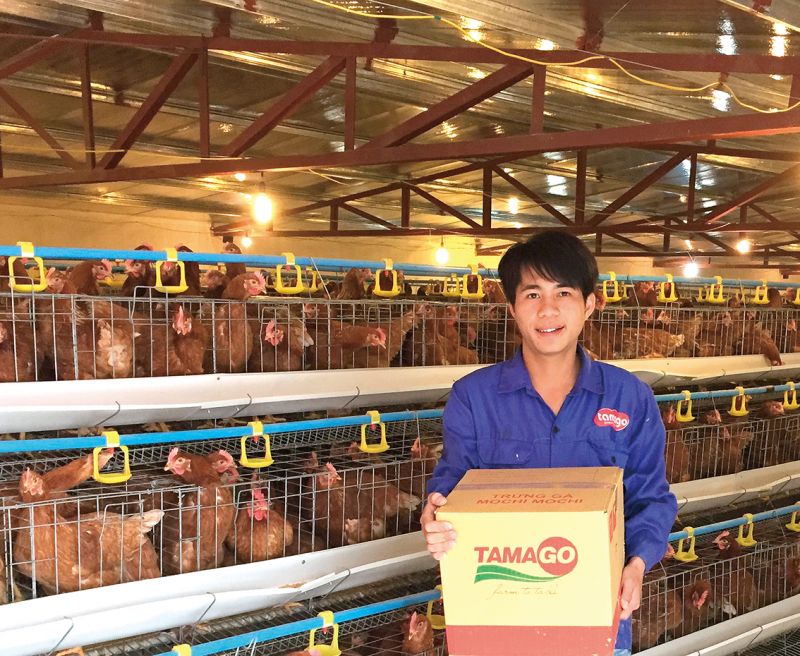 công nghệ chuồng lạnh và kín Tamago