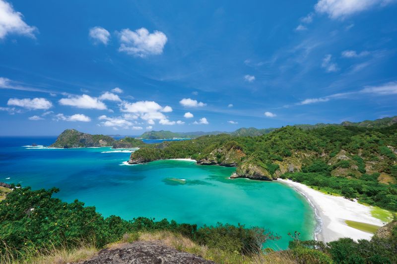 Ogasawara – Màu xanh tuyệt sắc bao phủ quần đảo thần bí