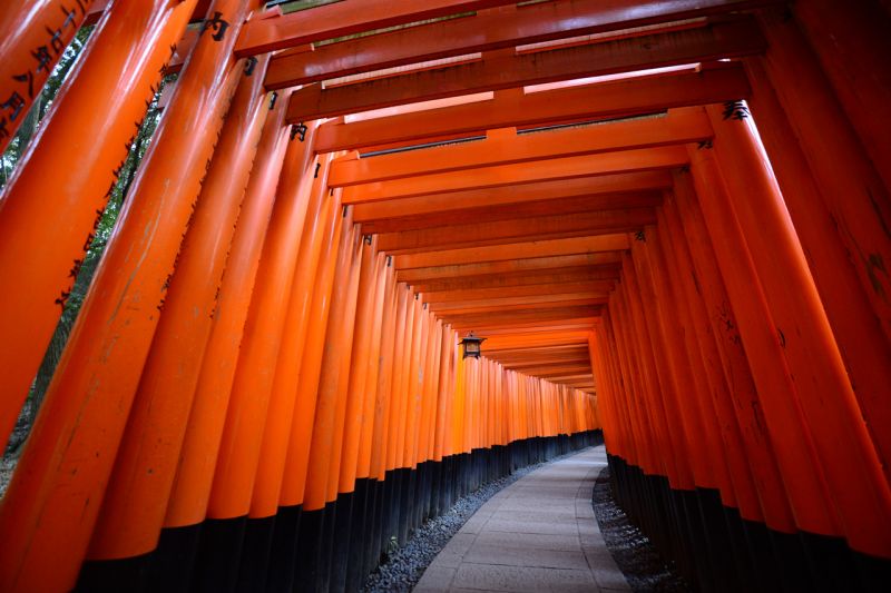 cổng Torii ở Fushimi Inari