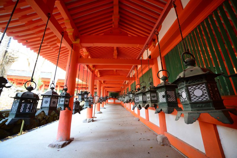 khoảng 3.000 chiếc đèn ở đền Kasuga Taisha
