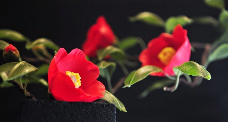 Sweet Art Junichi Mitsubori