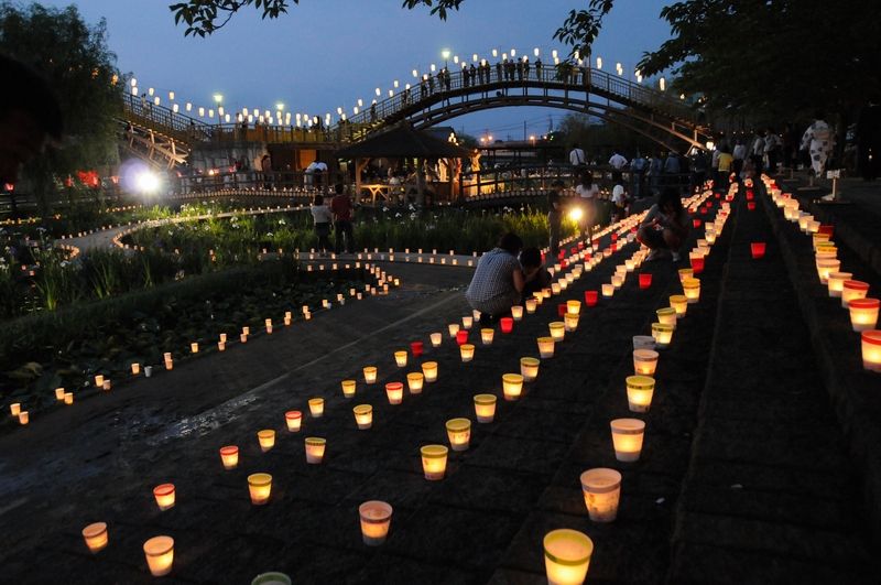 Lễ hội hoa Diên vĩ 