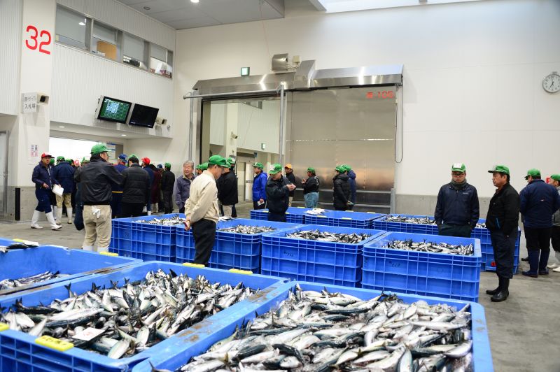 chợ cá shin ishinomaki