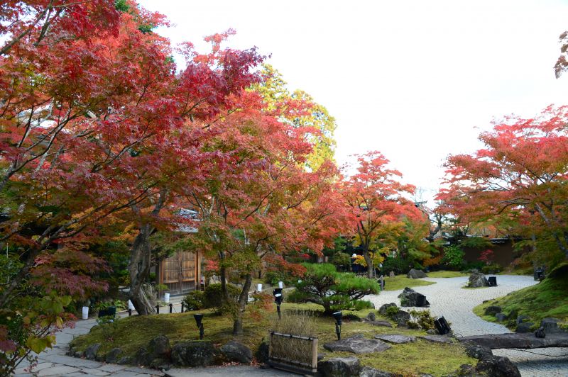 vườn thiền chùa Entsuin