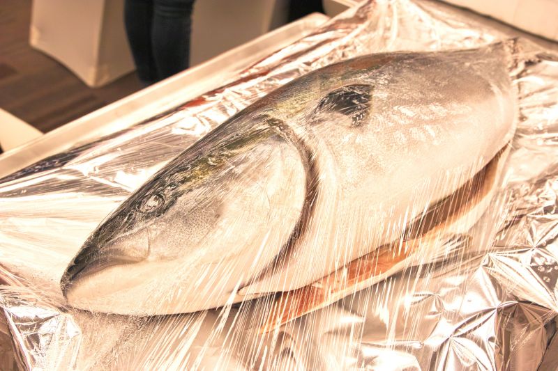 kết nối thương mai về hải sản JETRO kết nối thương mai về hải sản JETRO