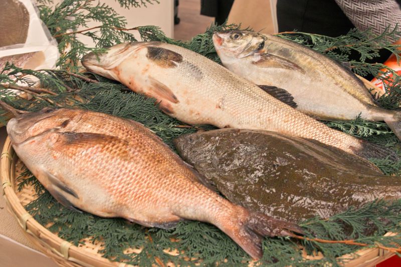 kết nối thương mại về hải sản JETRO kết nối thương mại về hải sản JETRO