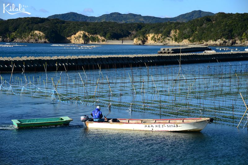hải nữ ama làng Osatsu