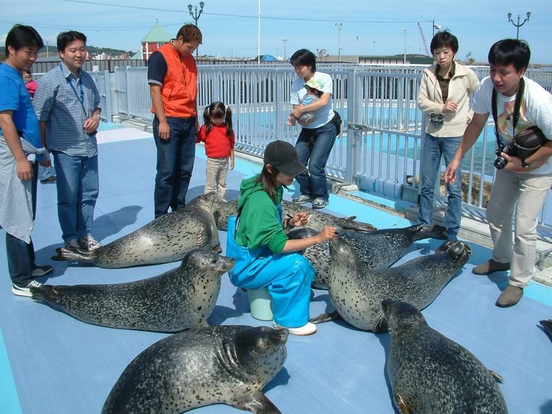 オホーツクとっかりセンター